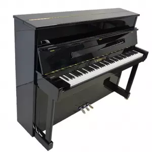 انواع پیانو آکوستیک سی بکشتاین